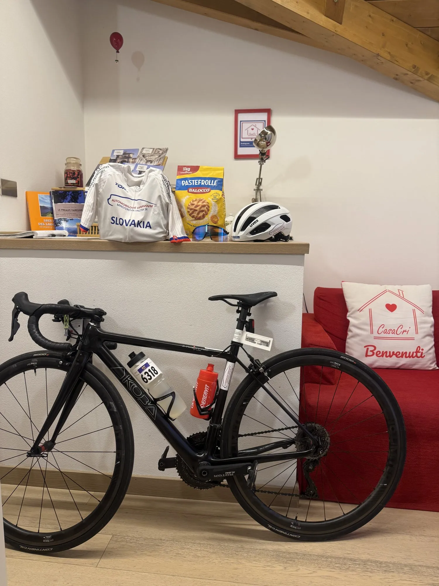 Cestný bicykel v obývačke apartmánu CasaCri